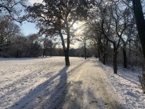 Winterlandschaft