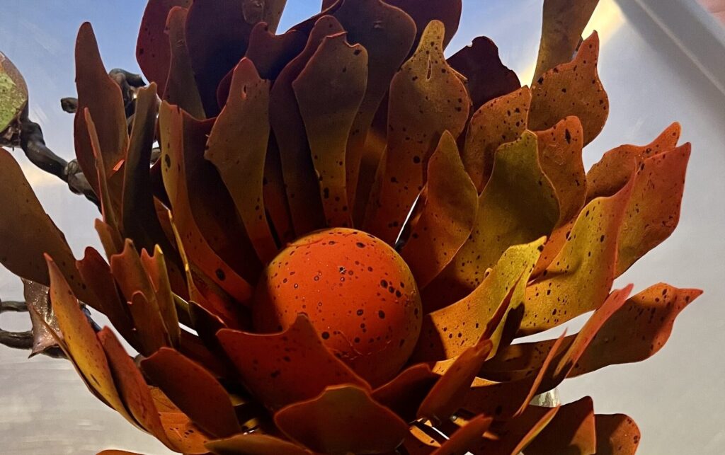 Schokoladenblume detail